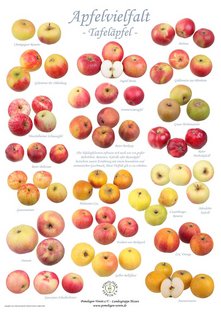 Poster Tafeläpfel