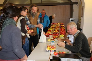 Obstfest 2022: Klaus Schwarz bei der Sortenbestimmung (Foto: Gerd Lange)