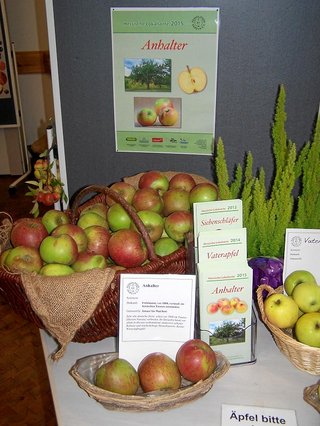 Früchte Präsentation Apfelmarkt