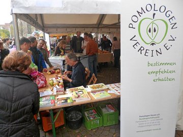 Sortenbestimmung mit Hans-Joachim Bannier (Pomologenverein) auf dem Apfel- und Birnenmarkt in Duderstadt (Foto: LPV)