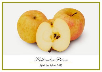 Holländer Prinz – Apfel des Jahres 2023 in Nord­deutschland