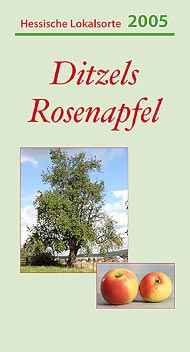 2005: Ditzels Rosenapfel