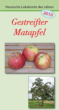 2010: Gestreifter Matapfel