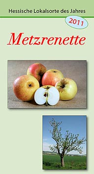 2011: Metzrenette