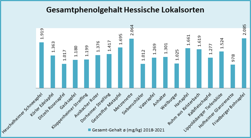 Gesamtphenol-Gehalt in hessischen Lokalsorten; Untersuchungszeitraum 2018-2021, ohne Spitzrabau (Hess. Lokalsorte 2012) (© S. Kahl, 12/2021)