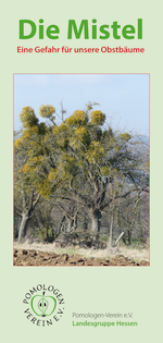 Titelseite des Faltblatts „Die Mistel – Eine Gefahr für unsere Obstbäume“