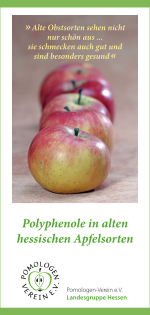 Titelseite des Faltblatts „Polyphenole in alten hessischen Apfelsorten“