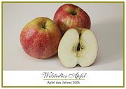 2005 Wilstedter Apfel